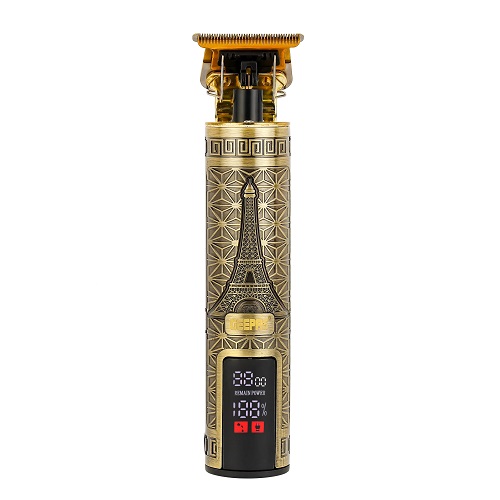 ماشین  اصلاح سلطنتی  شارژی جی پاس مدل GTR56038