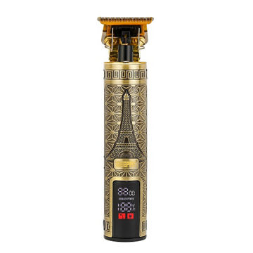 ماشین  اصلاح سلطنتی  شارژی جی پاس مدل GTR56038