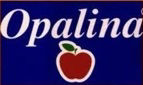 اوپالینا-OPALINA